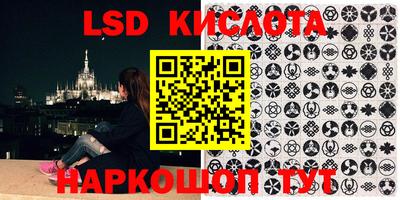 дживик Кимры