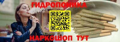 дживик Кингисепп