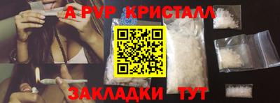 дживик Кингисепп