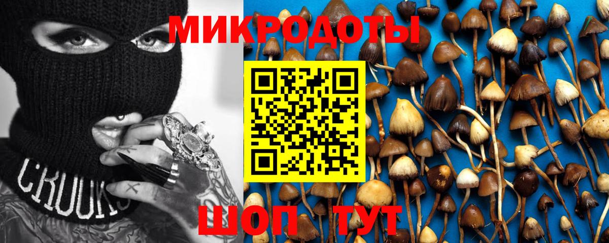 Галлюциногенные грибы MAGIC MUSHROOMS Киселёвск