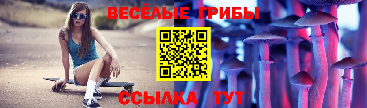 Галлюциногенные грибы Cubensis  Вход с VPN  Киселёвск 